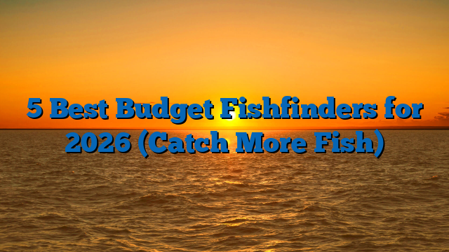 5 Best Budget Fishfinders for 2026 (Catch More Fish)